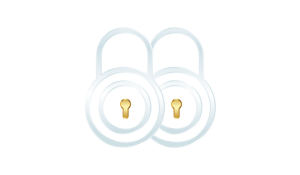 Two locks icon